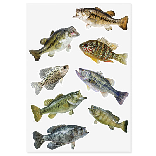 Sunfish and Bass | Sticker Sheet | 10"x14"