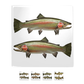 Mixed Trout Metal Magnets - 5 Pack