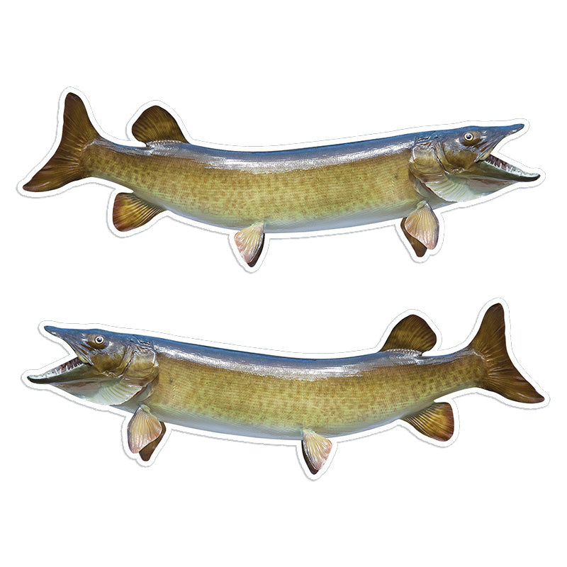 Muskellunge Muskie 14 inch stickers left and right facing.