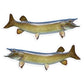 Muskellunge Muskie 8 inch stickers left and right facing.