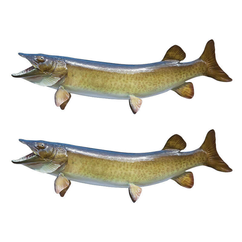 Muskellunge, Muskie large decals left facing x 2.