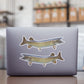 Muskellunge Muskie stickers on a laptop.