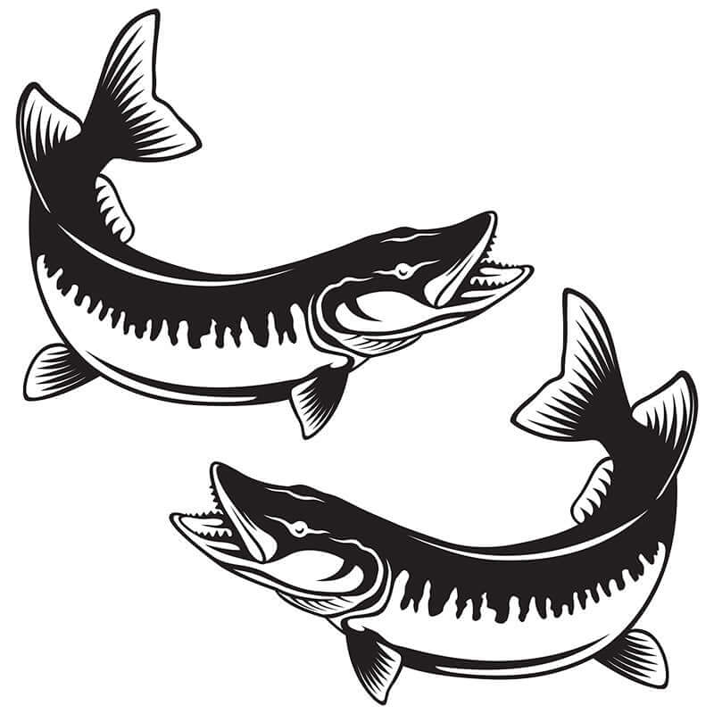 Black and white wall decals of two muskellunge fish, ideal for fish enthusiasts and home decor.