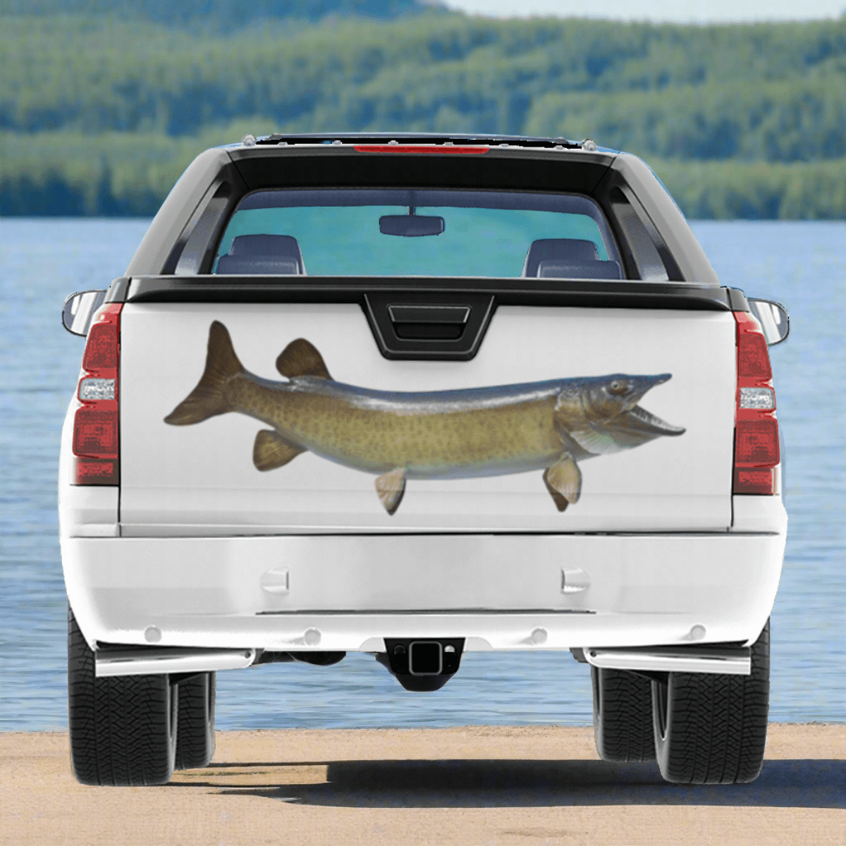 Muskellunge, Muskie large decal on a pickup truck at a large blue lake.