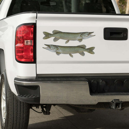 Northern Pike large decals on a pickup truck.