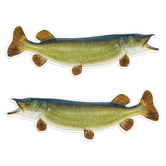 Northern Pike 14 inch stickers left and right facing.