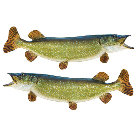 Northern Pike fish wall decals, fully customizable size and text options from 40"-70", perfect large fish wall decor for enthusiasts.