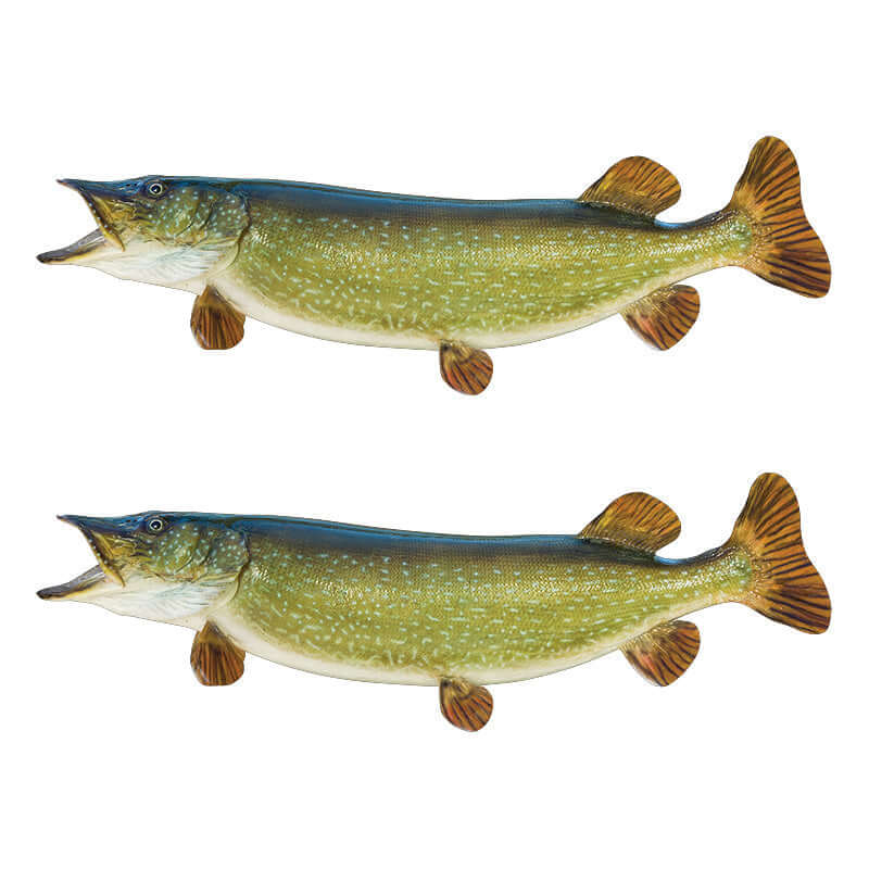 Northern Pike Wall Decals