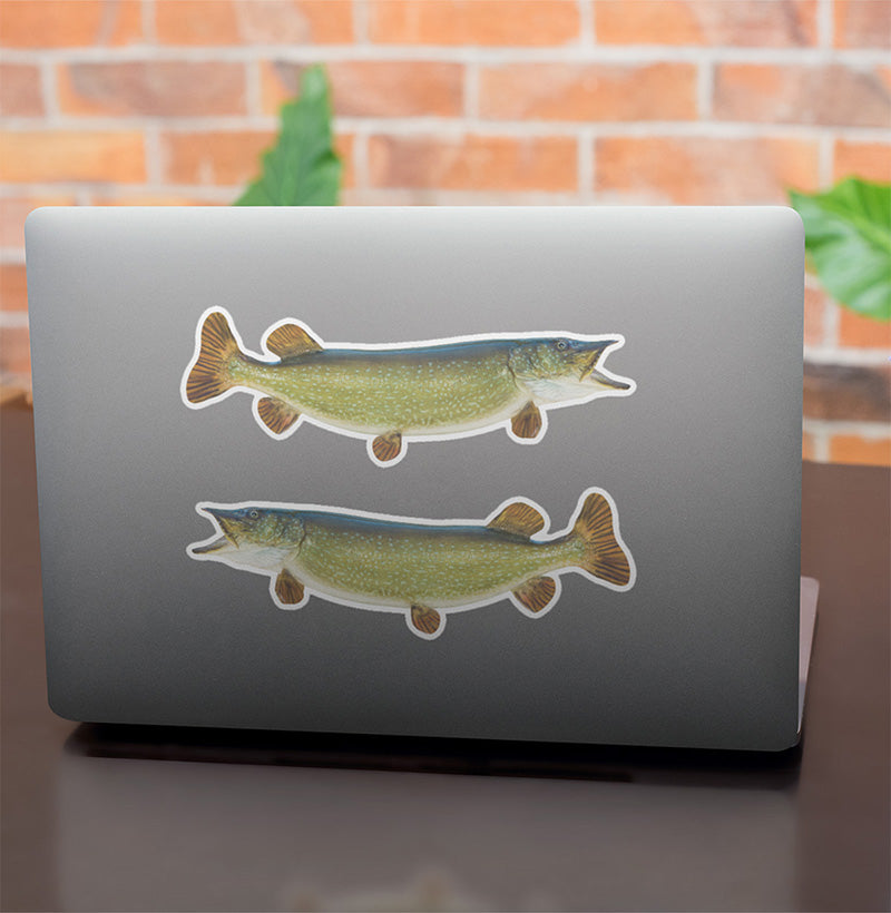 Northern Pike stickers on a laptop.