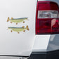 Northern Pike stickers on a truck.