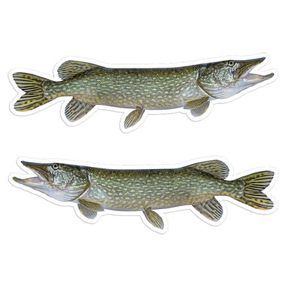 Northern Pike - Stickers, Decals