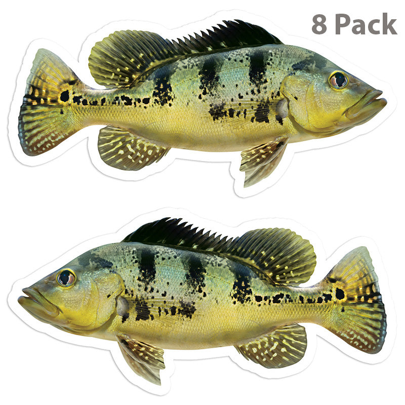 Peacock Bass 5 inch 8 sticker pack.