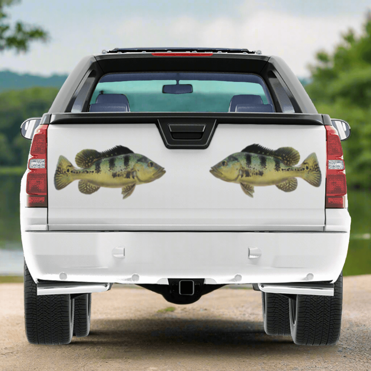 Peacock Bass large decals on a pickup truck by a river.