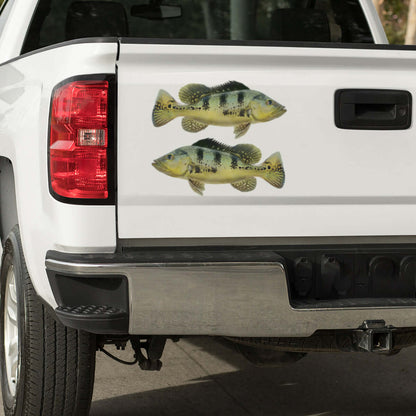 Peacock Bass large decals on a pickup truck.