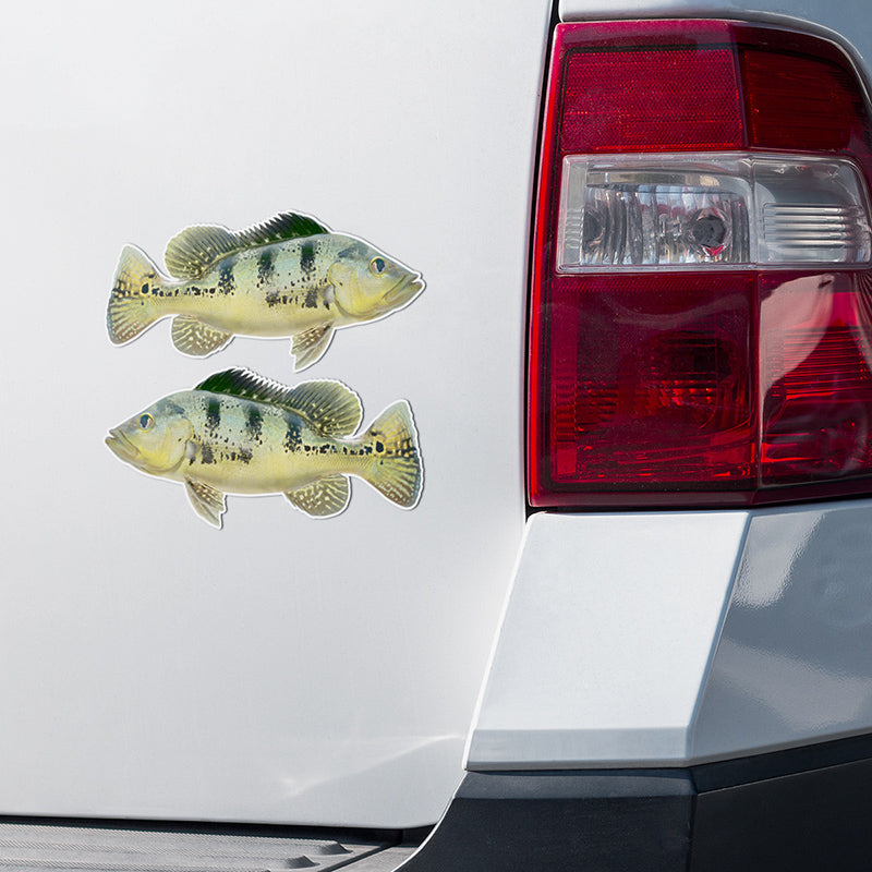 Peacock Bass stickers on a white truck.