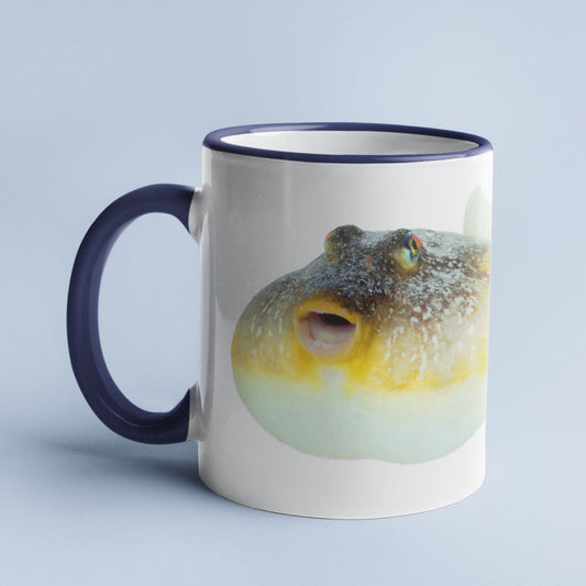 Pufferfish accent mug with dark blue handle on light blue background.