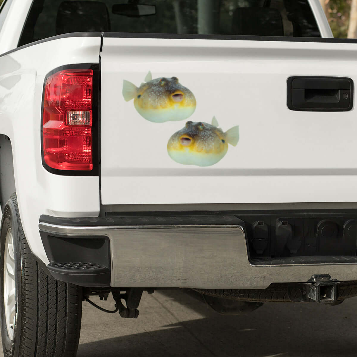 Pufferfish large decals on a pickup truck.