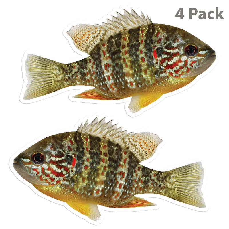 Pumpkindeed Sunfish 5 inch stickers 4 pack.