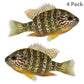 Pumpkindeed Sunfish 8 inch stickers 4 pack.