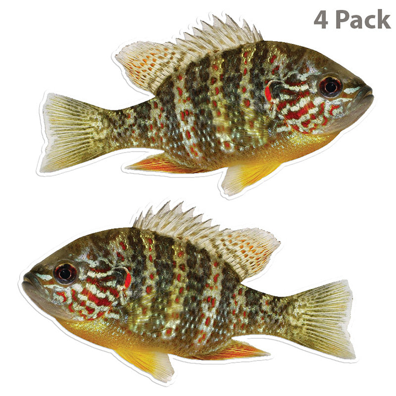 Pumpkindeed Sunfish 8 inch stickers 4 pack.