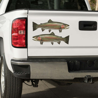 Rainbow Trout decals on a pickup truck.