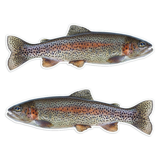 Rainbow Trout 14 inch stickers left and right facing.