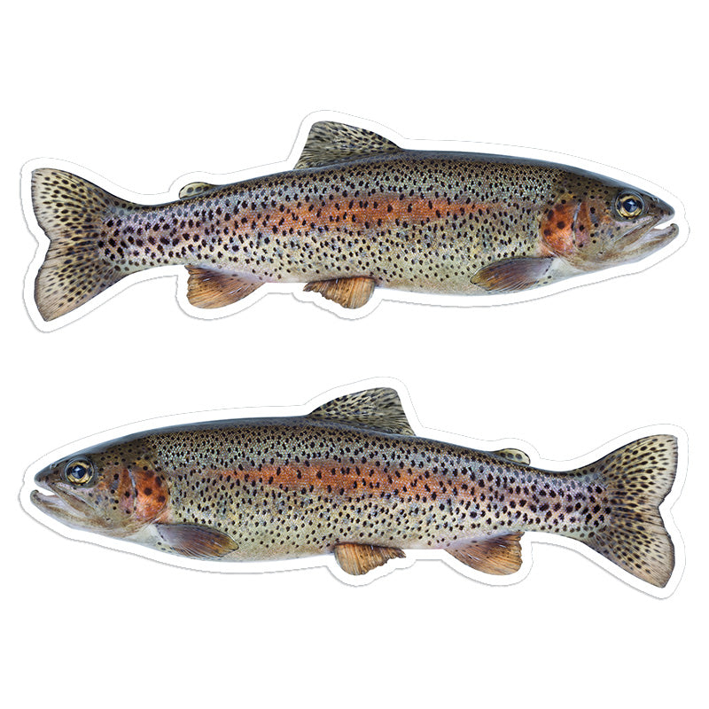 Rainbow Trout 8 inch stickers left and right facing.