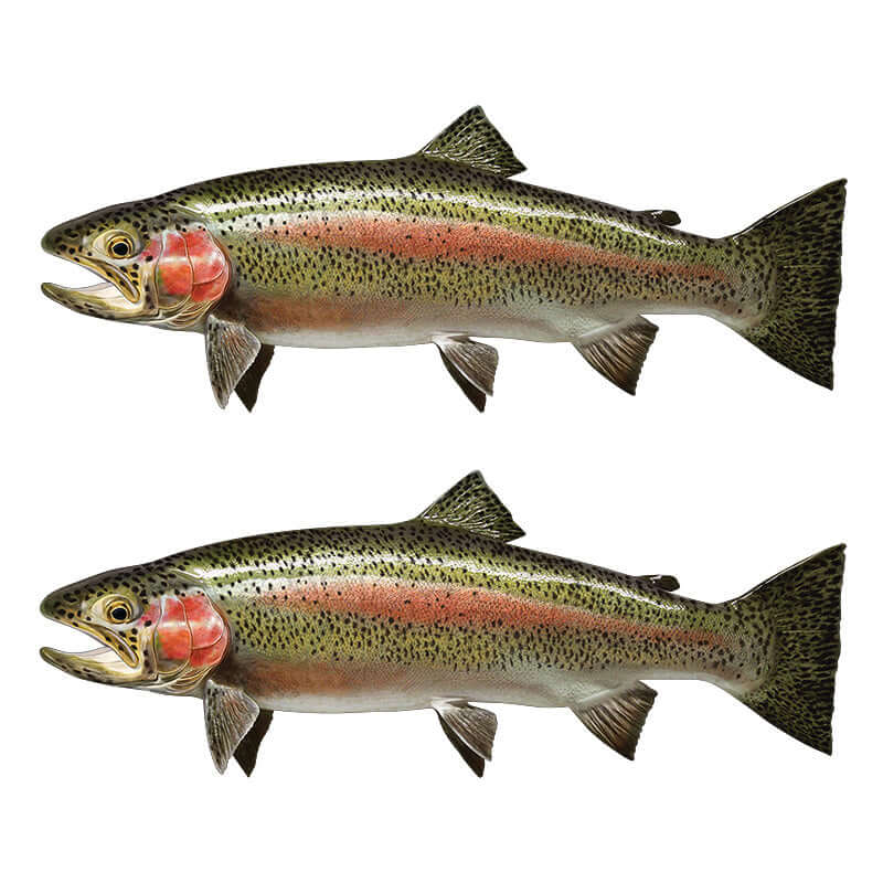 Rainbow Trout large decal left facing x 2.