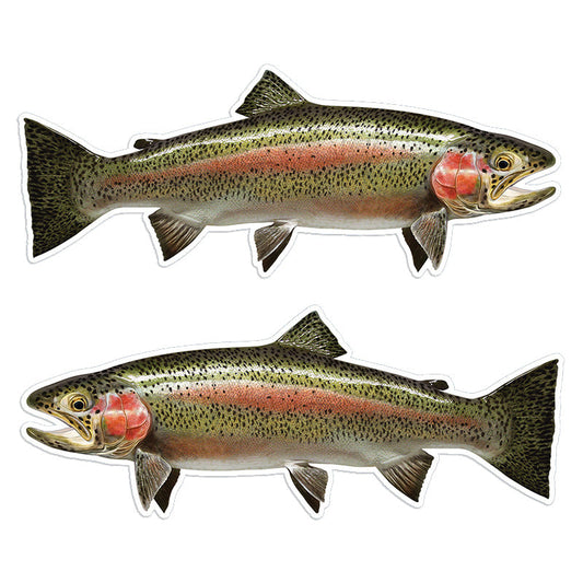 Rainbow Trout 14 inch stickers left and right facing.