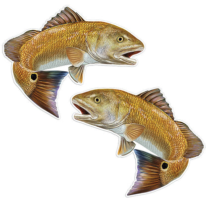 Red Drum, Redfish stickers 12 inch left and right facing.