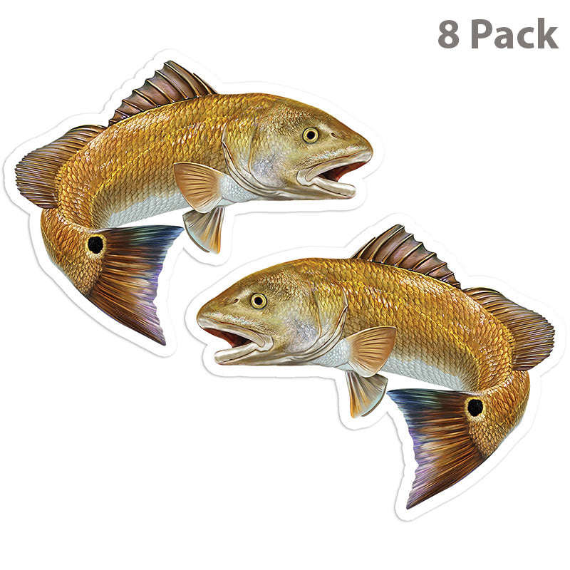 Red Drum, Redfish stickers 5 inch, 8 pack.