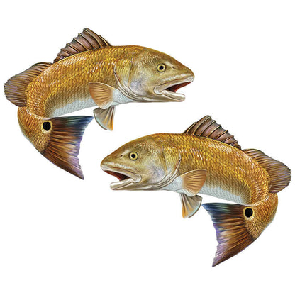 Pair of realistic red drum fish wall decals in left and right facing positions. Ideal for adding a fishing theme to any room.