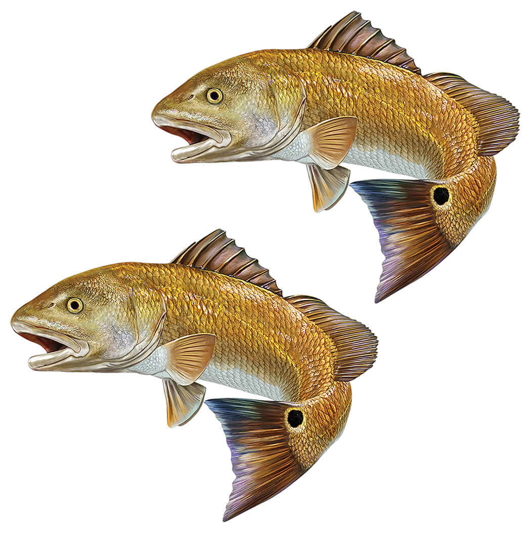 Red Drum, Redfish wall decals, fully customizable size and text options, perfect large fish wall decor for enthusiasts.