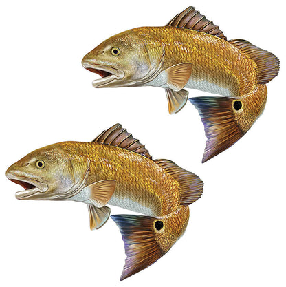 Red Drum, Redfish wall decals, fully customizable size and text options, perfect large fish wall decor for enthusiasts.