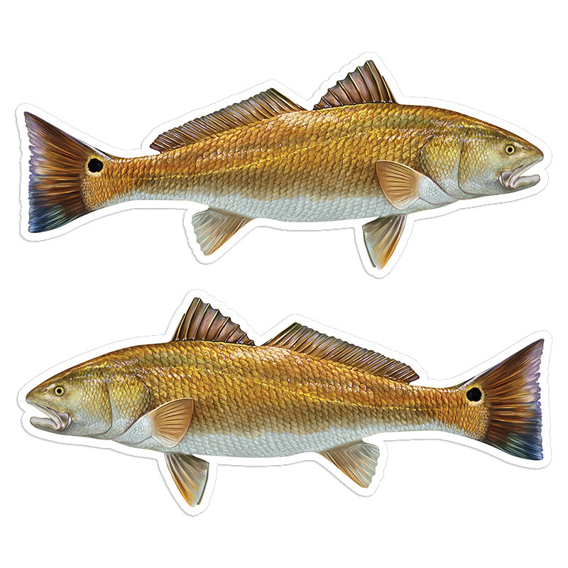 Red Drum Redfish 8 inch stickers left and right facing.