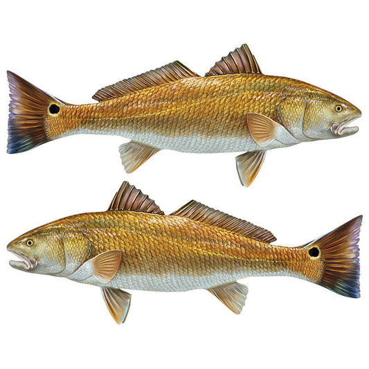 Red Drum, Redfish wall decals, fully customizable size 40"-70", perfect large fish wall decor for enthusiasts.