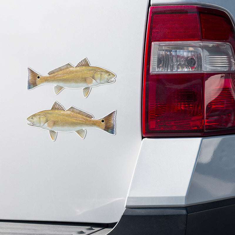 Red Drum Redfish stickers on a white truck.