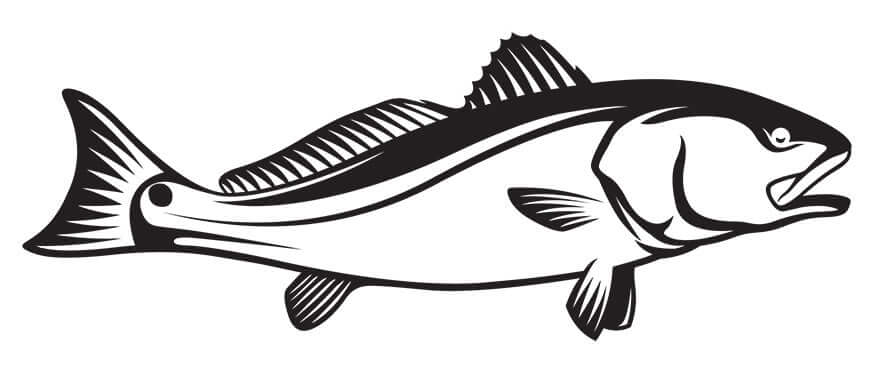 Black and white fish wall decal perfect for fish enthusiasts