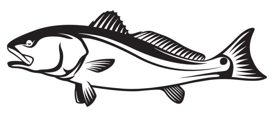 Black and white fish wall decal for fish enthusiasts