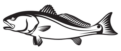 Red Drum fish wall decal, 40"-70" customizable size and text. Perfect for fish enthusiasts. Large fish wall decor in matte white or black.