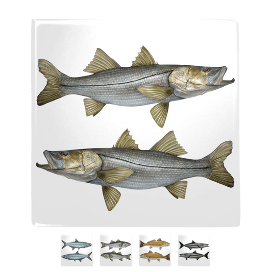 Metal Saltwater Fish 