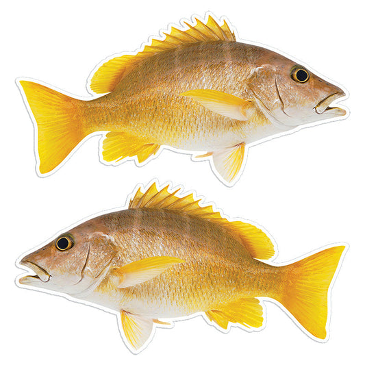 Schoolmaster Snapper 14 inch stickers left and right facing.