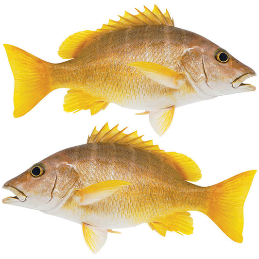 Schoolmaster Snapper fish wall decals, customizable 40"-70", left or right facing, large fish wall decor.