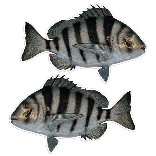 Sheepshead 14 inch stickers left and right facing.
