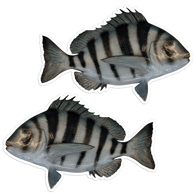 Sheepshead 8 inch stickers left and right facing.