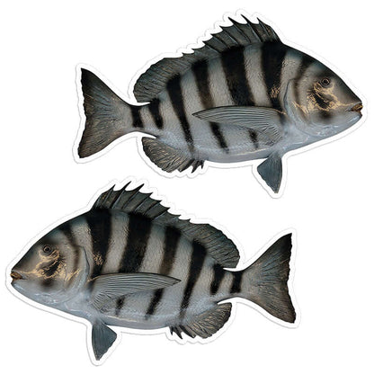 Sheepshead - Stickers, Decals