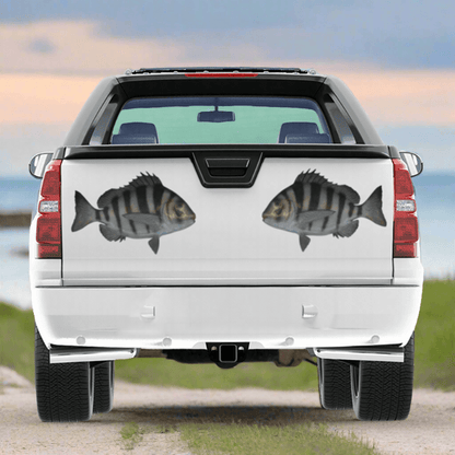 Sheepshead fish decals on truck tailgate, customizable 14-70 inches, perfect fishing stickers for trucks, waterproof vinyl.