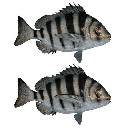 Sheepshead Decals