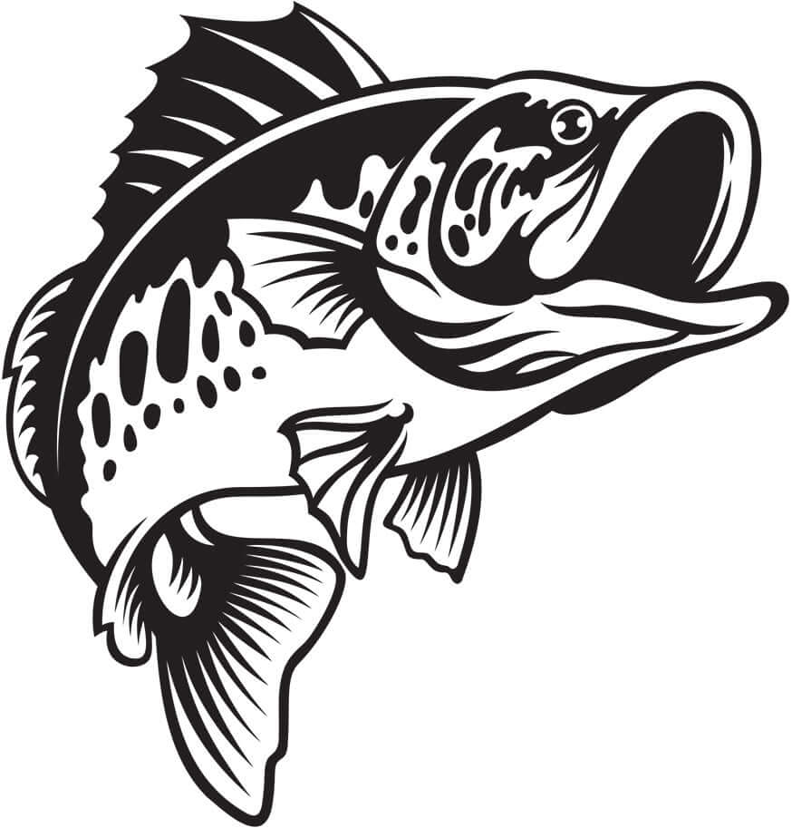 Smallmouth Bass vinyl decal, customizable 14"-70" for cars or boats, cool fish stickers for fishing enthusiasts.