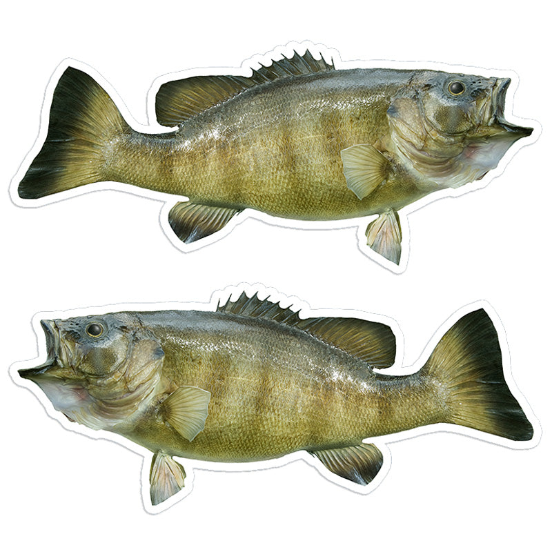 Smallmouth Bass 8 inch stickers left and right facing.